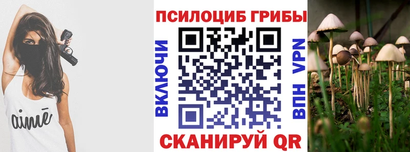 дарк нет Telegram Сенгилей Псилоцибиновые грибы Psilocybine cubensis KRAKEN как зайти